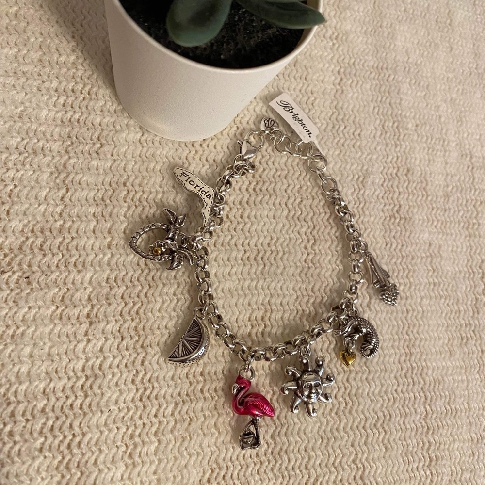 ✨🆕✨Brand New Brighton Charm Bracelet - Picture 2 of 2